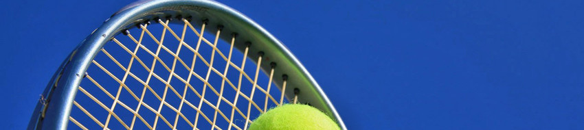2014 0167 1797 logo rolstoeltennis Badhovedorp