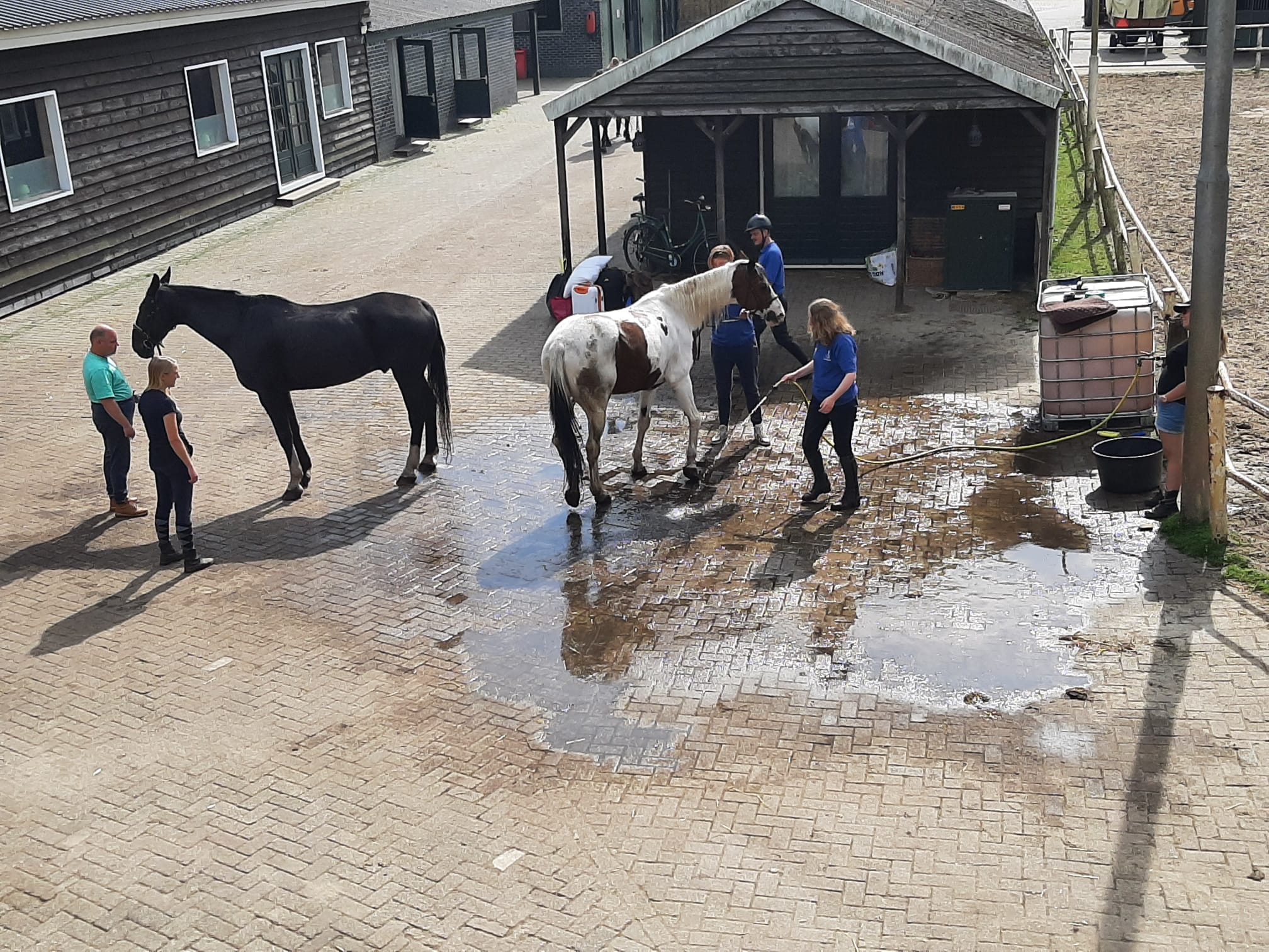 foto VPG Opmeer ruiterkamp 2021 bij manege de Eekwal 1